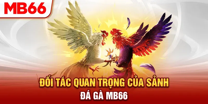 Đá Gà Mb66 – Sảnh Cược Náo Nhiệt, Sôi Động Nhất Nhà Cái