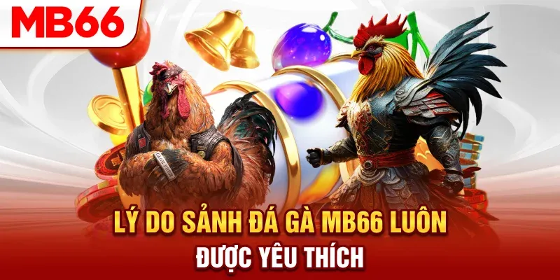 Sảnh game đá gà MB66 có đa dạng hình thức
